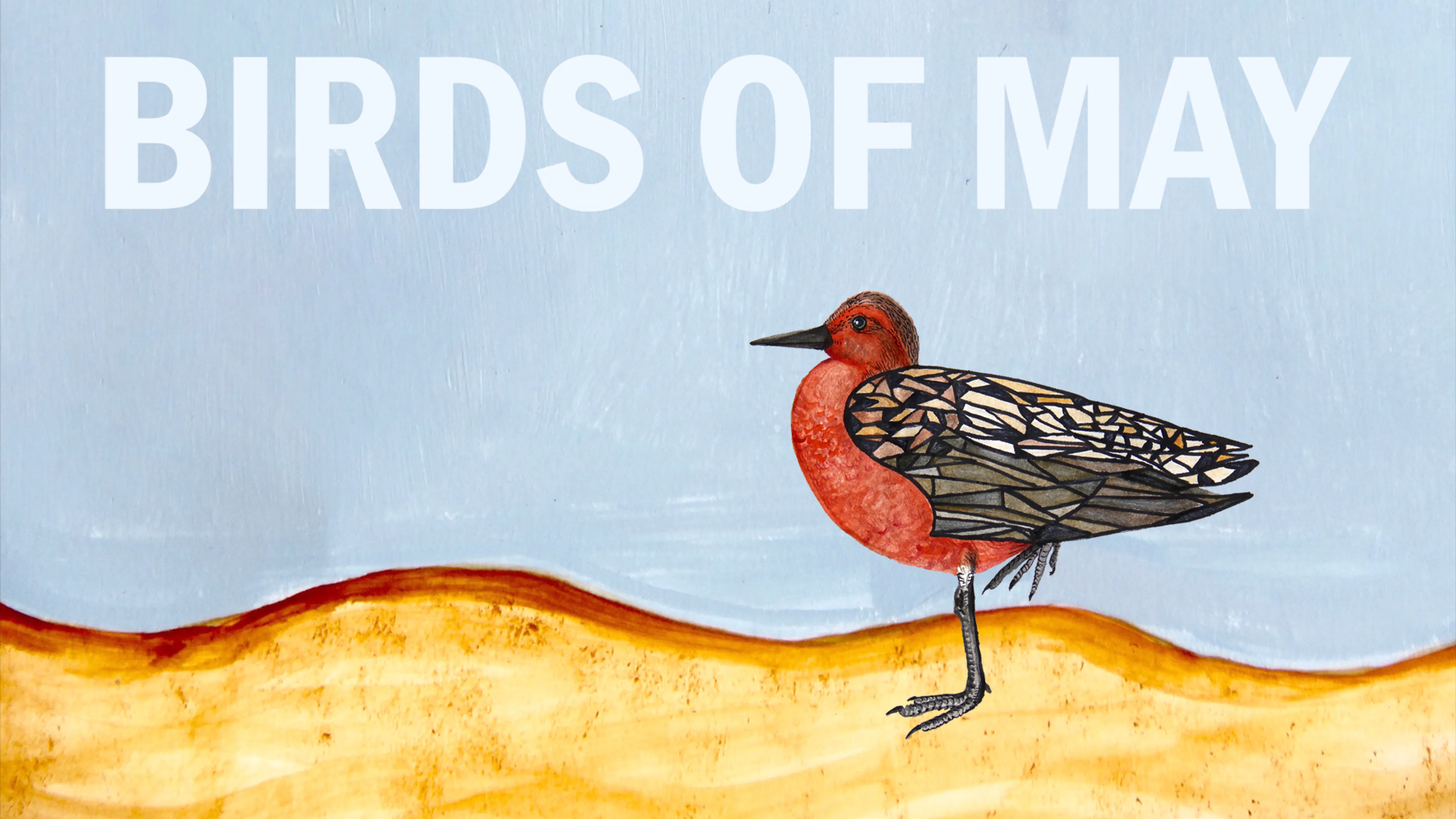 Birds of May poster